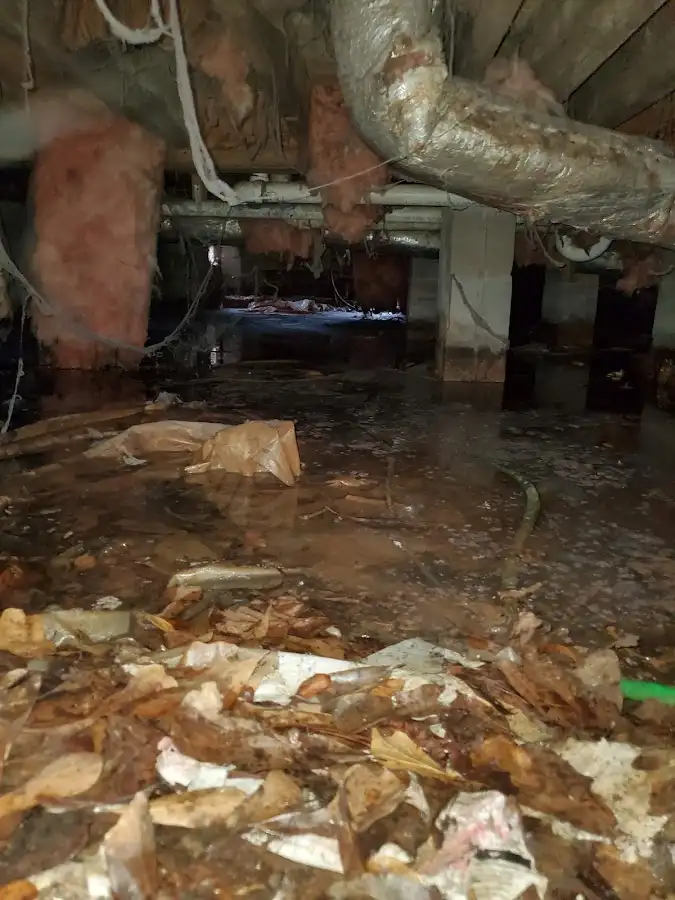 Crawl space flood assessment for Leak Detection & Repair in Cypress