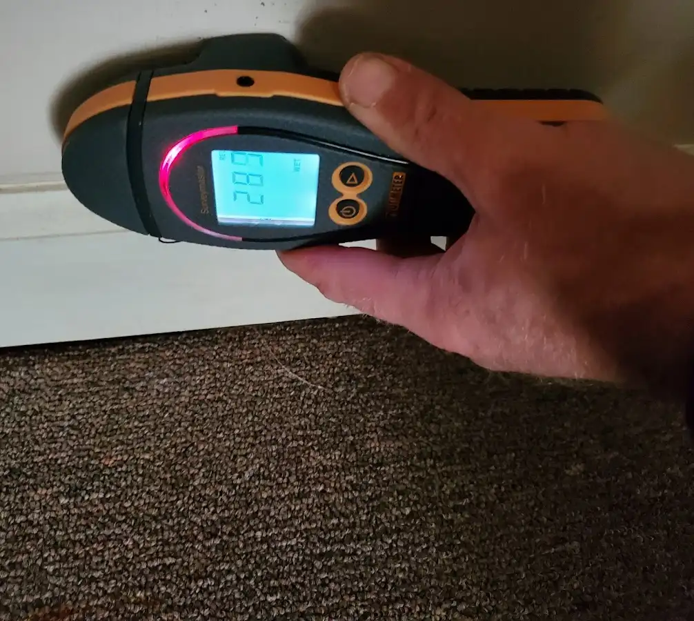 Moisture detection at baseboard during Mold Inspection & Testing in Cypress